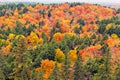 Fall colors Algonquin Park, Ontario, Canada Royalty Free Stock Photo