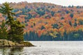 Fall colors Algonquin Park, Ontario, Canada Royalty Free Stock Photo