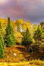 Fall colors Algonquin Park, Ontario, Canada Royalty Free Stock Photo