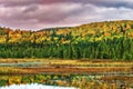 Fall colors Algonquin Park, Ontario, Canada Royalty Free Stock Photo