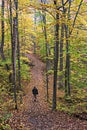 Fall colors Algonquin Park, Ontario, Canada Royalty Free Stock Photo