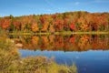 Fall colors along the Androscoggin River in Milan, New Hampshire