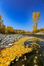 Big Wood River In Autumn In Sun Valley, Idaho