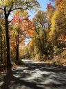 Fall colors along the Blue Ridge Parkway Royalty Free Stock Photo