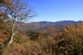 Fall colors along the Blue Ridge Parkway Royalty Free Stock Photo