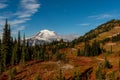Fall Colors Along Mountain in Front of Mount Rainier Royalty Free Stock Photo