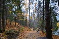 Fall Colors along Ontonagon River walkway above Bond Falls Royalty Free Stock Photo