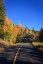 Fall colors along the road Royalty Free Stock Photo