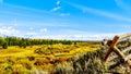 Fall colors along the Snake River in Grand Tetons National Park. Viewed from Black Ponds Overlook Royalty Free Stock Photo