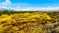 Fall colors along the Snake River in Grand Tetons National Park. Viewed from Black Ponds Overlook Royalty Free Stock Photo