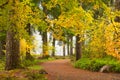 Fall colors along the trail during autumn in Silver Falls State Park in Oregon Royalty Free Stock Photo