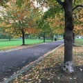 Fall colors along a walkway Royalty Free Stock Photo
