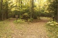 fall colors - Anvil Trails hike - which path to take?