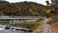 fall colors in Arashiyama Royalty Free Stock Photo