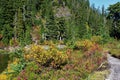 Fall colors around Lower Bagley Lake trail in the North Cascades