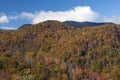 Fall colors as seen from the Blue Ridge Parkway in North Carolina. Royalty Free Stock Photo