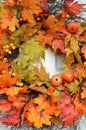 Fall Colors Autumn Leaves Background Thanksgiving Season Wallpaper Text Use Royalty Free Stock Photo