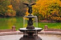 Fall colors at Bethesda Fountain in Central Park. Royalty Free Stock Photo