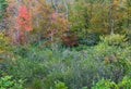 Autuman Colors in the Blue Ridge Mountains Royalty Free Stock Photo