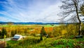 Fall colors of the Blueberry Fields in Glen Valley in the Fraser Valley Royalty Free Stock Photo