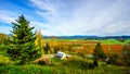 Fall colors of the Blueberry Fields in Glen Valley in the Fraser Valley Royalty Free Stock Photo