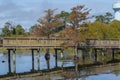 Fall colors on the boardwalk in Duck town on outer banks of N C Horizontal Royalty Free Stock Photo