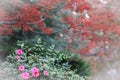 Fall colors bokeh background with pink flowers in foreground - room for copy