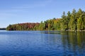 Fall Colors at Canoe Lake in Algonquin Park