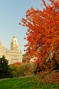 Fall colors at Central Park. Royalty Free Stock Photo