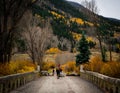 Fall Colors on the Continental Divide Trail