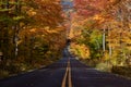 Tunnel of Fall Colors in the White Mountains Royalty Free Stock Photo