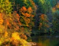 Fall Colors on Eagle Creek, Oregon Royalty Free Stock Photo