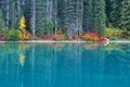 Fall colors in Emerald Lake, Yoho National Park Royalty Free Stock Photo