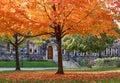 Fall colors in front of gothic style stone college building