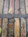 Fall colors grace the brick-paved canvas