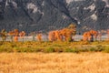 Fall colors in Grand Tetons Royalty Free Stock Photo