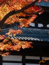 Fall colors on the grounds of Tofukuji temple - Kyoto, Japan Royalty Free Stock Photo