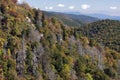 Fall Colors and Hemlock loss along the Blue Ridge Royalty Free Stock Photo