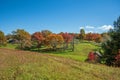 Fall colors at the Hensley Settlement at Cumberland Gap National Historic Park Royalty Free Stock Photo