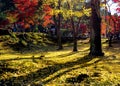 Fall colors in Higashiyama, Kyoto, Japan Royalty Free Stock Photo