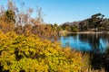 Fall Colors at Lake Murray in San Diego Royalty Free Stock Photo