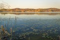 Fall colors lake 2 Royalty Free Stock Photo