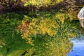 Fall Colors Leaves Water Reflection Abstract Wenatchee River Washington Royalty Free Stock Photo