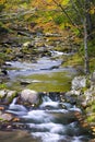 Fall Colors on Luarel Creek
