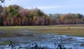 Fall Colors on Marsh, Dyar Pasture Waterfowl Management Area Royalty Free Stock Photo