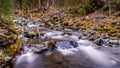 Fall Colors at Mcgillivray Creek near the town of Whitecroft