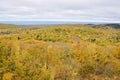 Fall Colors in the Michigan State Park Royalty Free Stock Photo