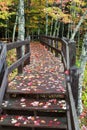 Fall Colors in Michigan Upper Peninsula