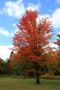 Fall colors in Minnesota