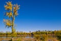Fall Colors of the Missouri River. Royalty Free Stock Photo